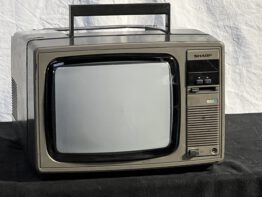 Sharp C1000G color tv