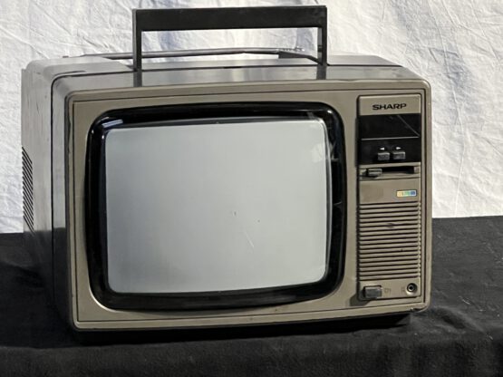 Sharp C1000G color tv